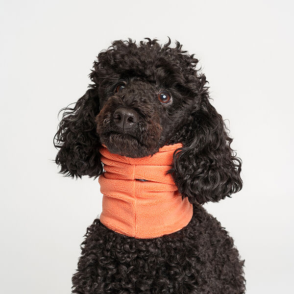 Снуд для собак Rurri терракотовый р. S