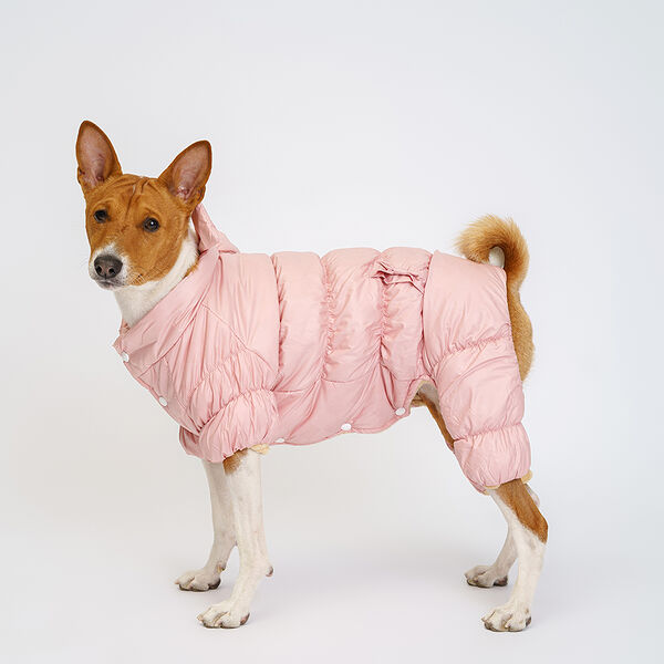 Комбинезон для собак Rurri, L, розовый (девочка)