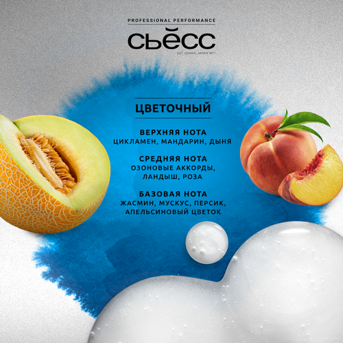 

Шампунь мужской Сьёсс Anti-Dandruff для волос склонных к перхоти 450 мл