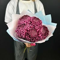 Изображение 4