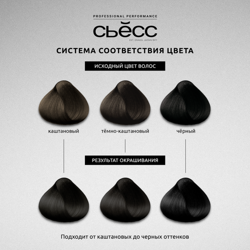 

Стойкая крем-краска для волос Сьёсс 1-1 Черный 115 мл
