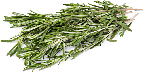 Розмарин свежий, 30 г