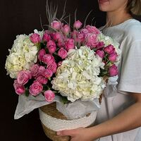 Изображение 3