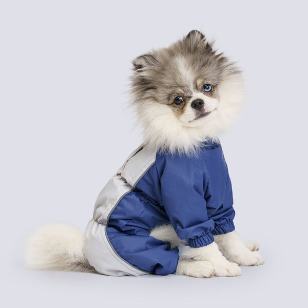 Дождевик Rungo Шпиц мальчик синий р. L