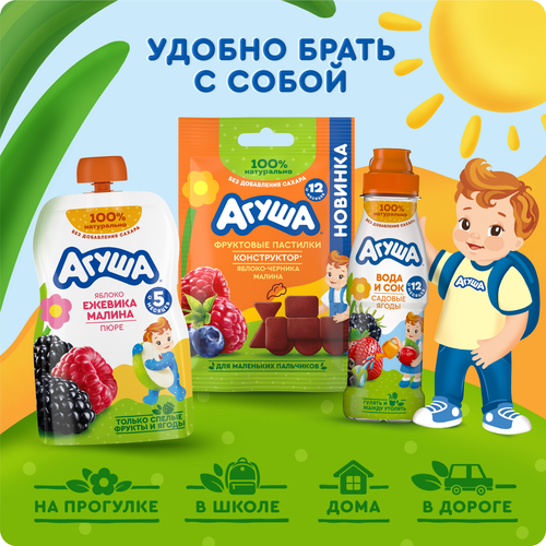 

Напиток сокосодержащий Агуша Ягоды садовые с 12 мес. 300 мл