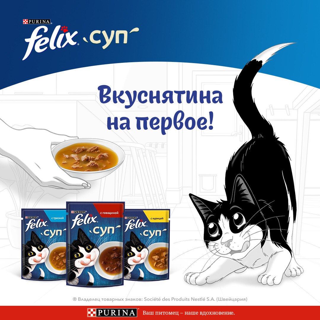 

Влажный корм Felix Суп для взрослых кошек, с треской, пауч 48 г