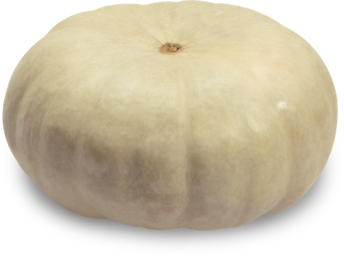 

Тыква серая вес