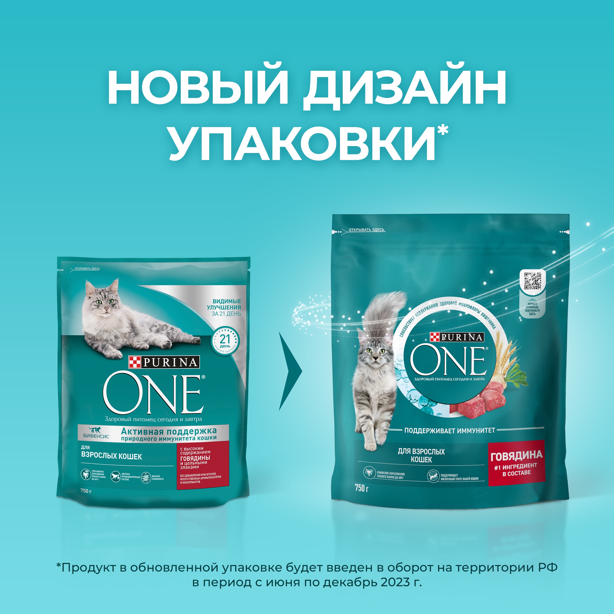 

Сухой корм Purina One для взрослых кошек с высоким содержанием говядины и цельными злаками Пакет 750 г