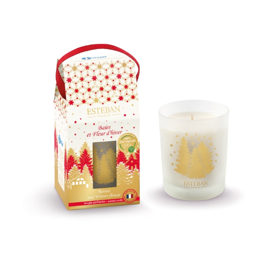 

Аромасвеча «Морозная клюква», Esteban Paris Parfums, 180 г, Франция