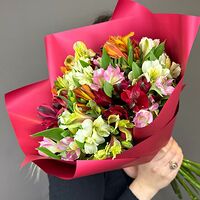 Изображение 3