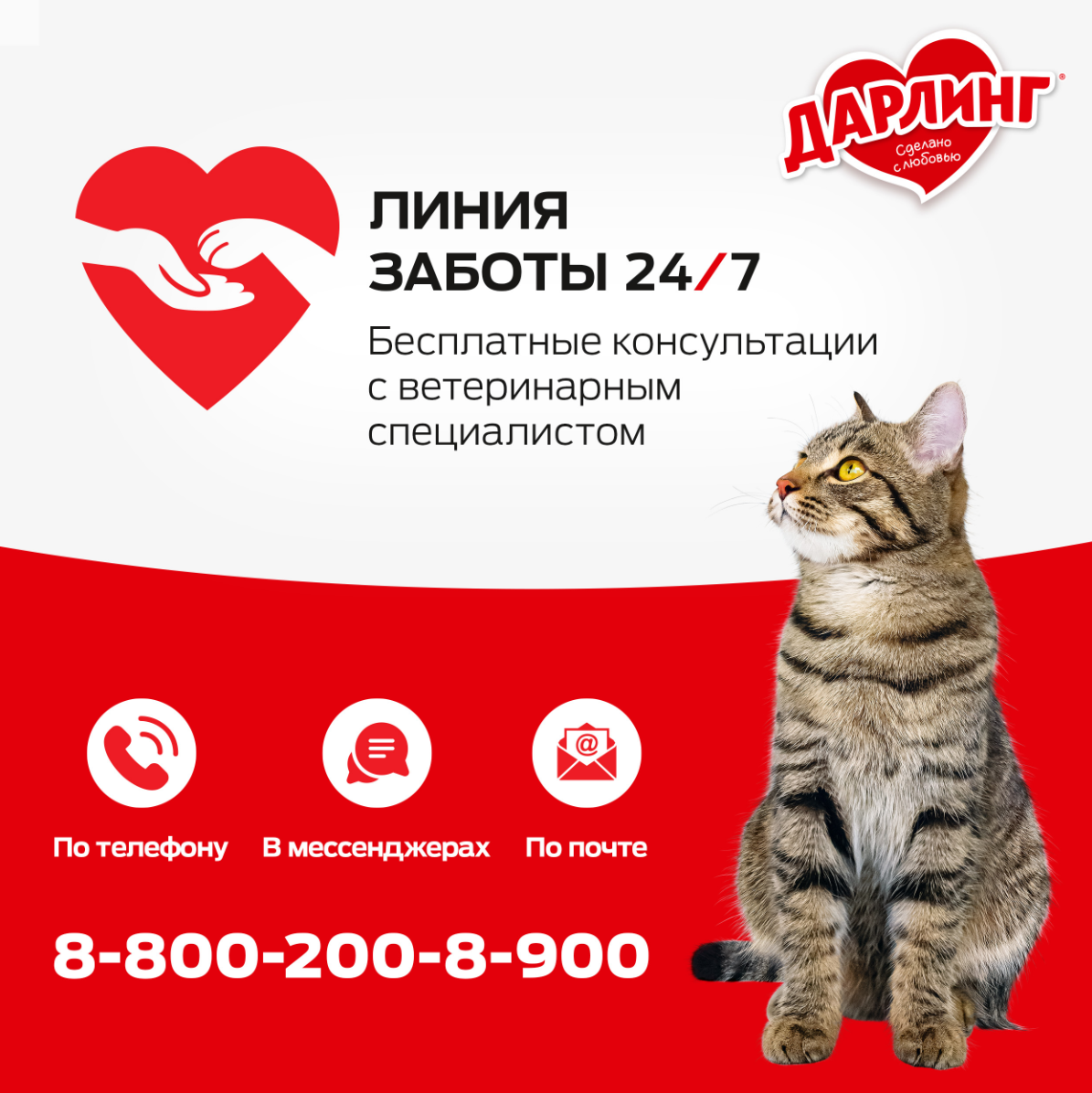 

Влажный корм Дарлинг для взрослых кошек с индейка в подливе 75 г