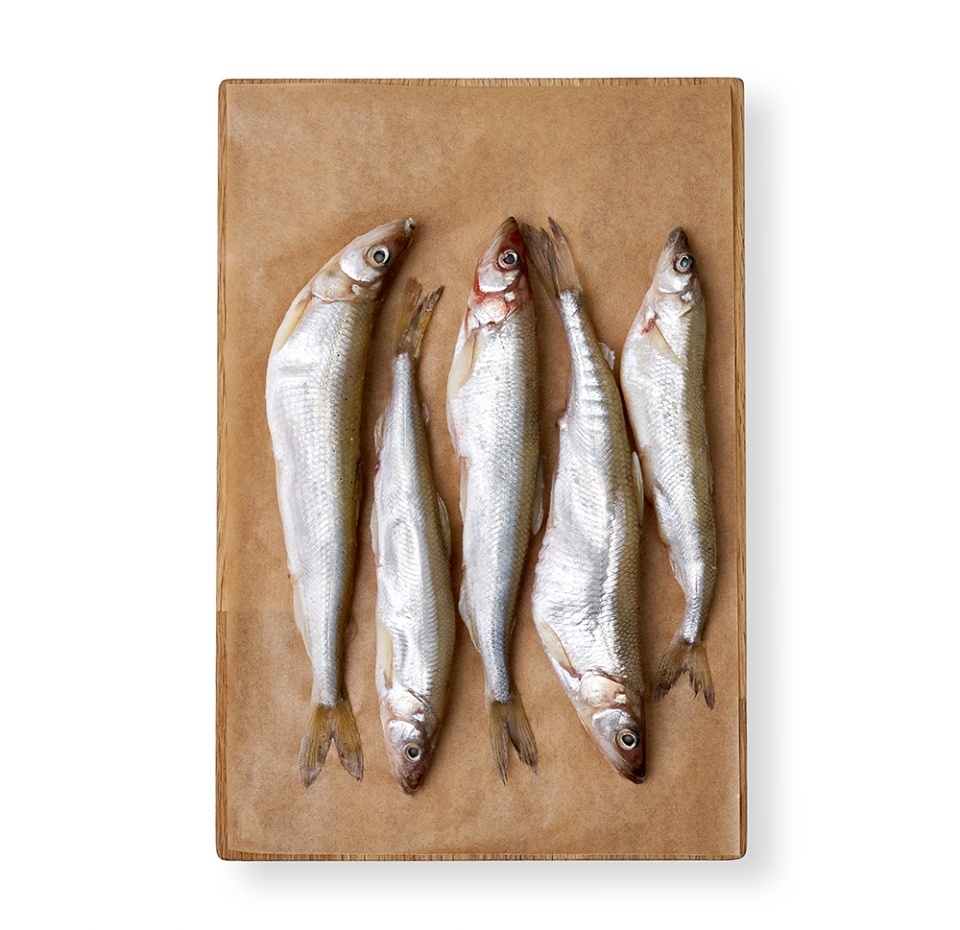 

Корюшка Балтийская охл., Россия