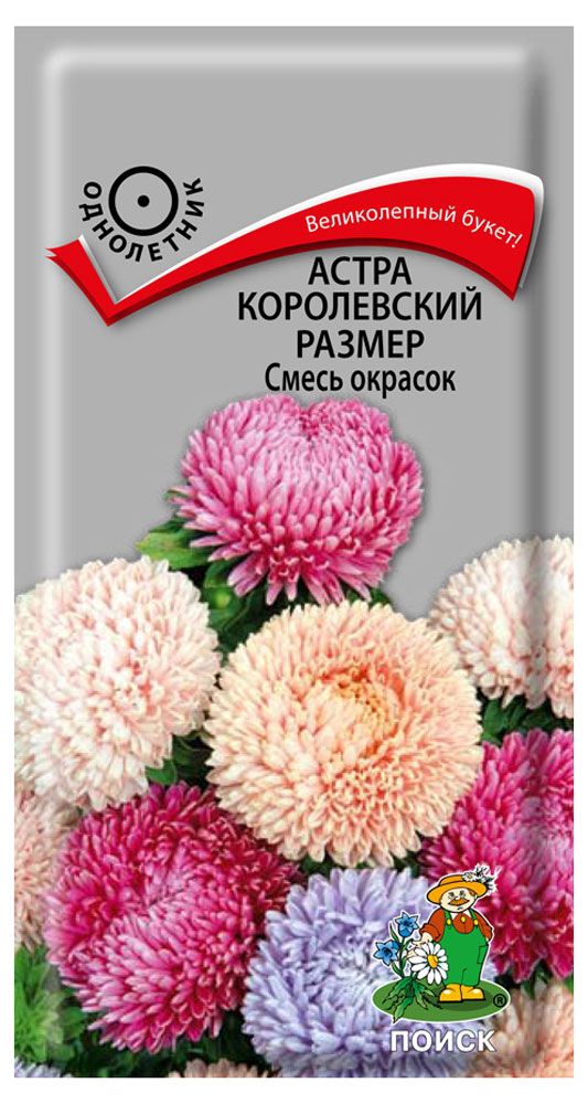 

Семена Астра Королевский размер ТМ Поиск