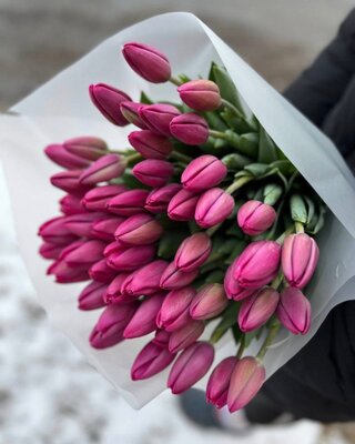 Букет из 51 сиреневого тюльпана