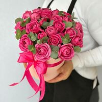 Изображение 6