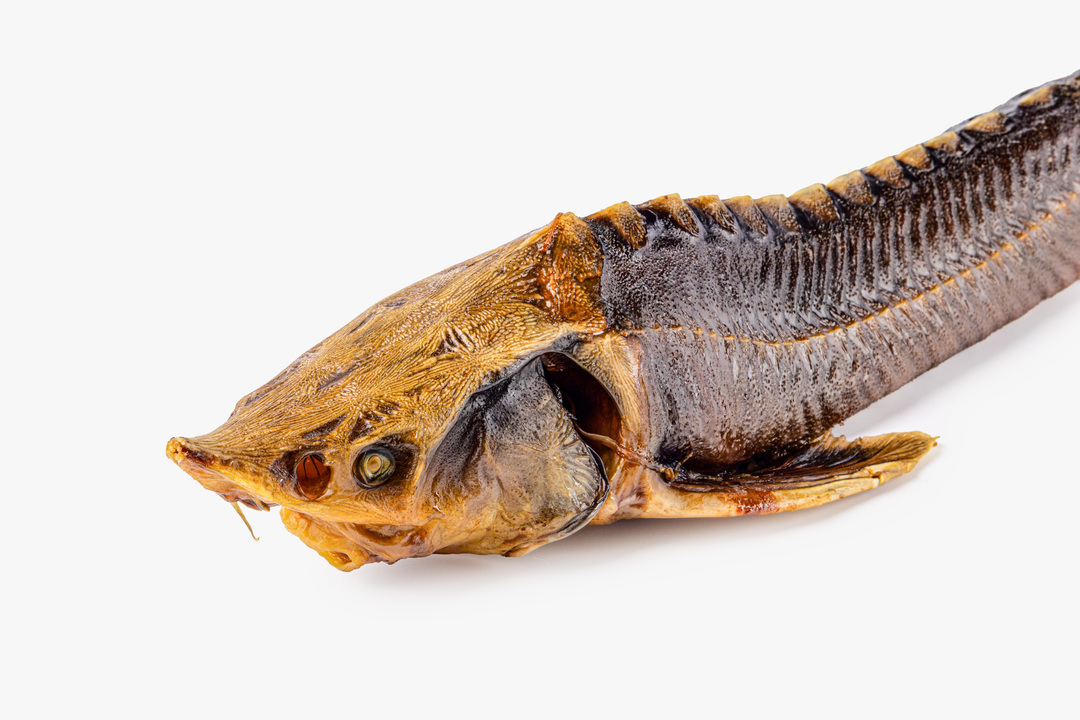 

Стерлядь Волгореченское рыбное хозяйство тушка горячего копчения вес