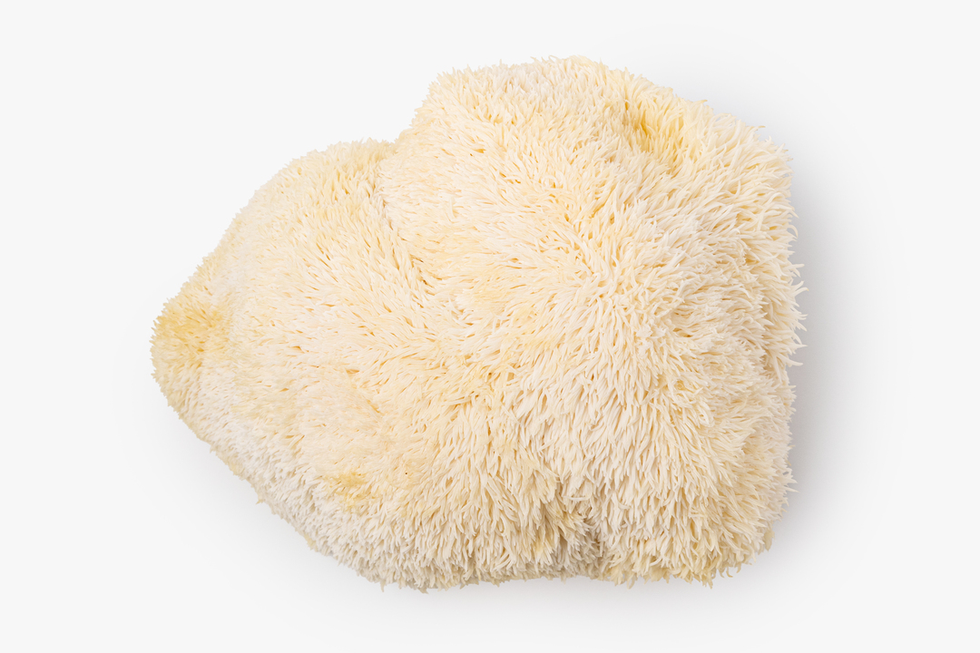 

Грибы Ежовики 125 г