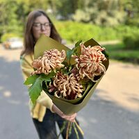 Изображение 7