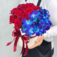 Изображение 4