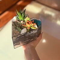 Изображение 7