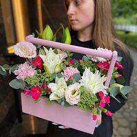 Изображение 8