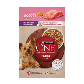 

Корм влажный Purina One мини для собак с чувствительным пищеварением с лососем рисом и морковью 85 г