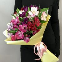 Изображение 3