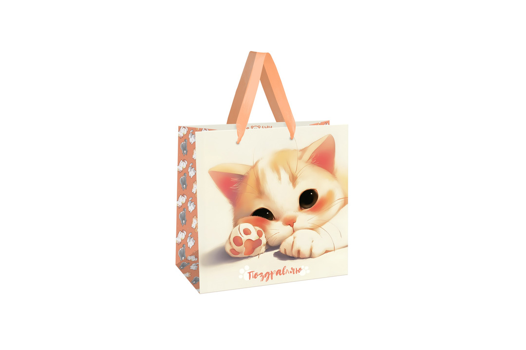 

Пакет подарочный Meshu Lovely kitten 20 х 20 х 10 см матовая ламинация
