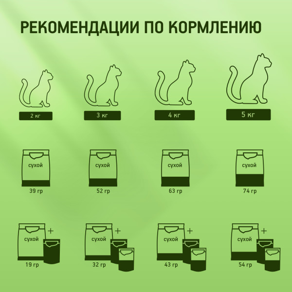 

Сухой полнорационный корм Kitekat для взрослых кошек Мясной Пир 800 г