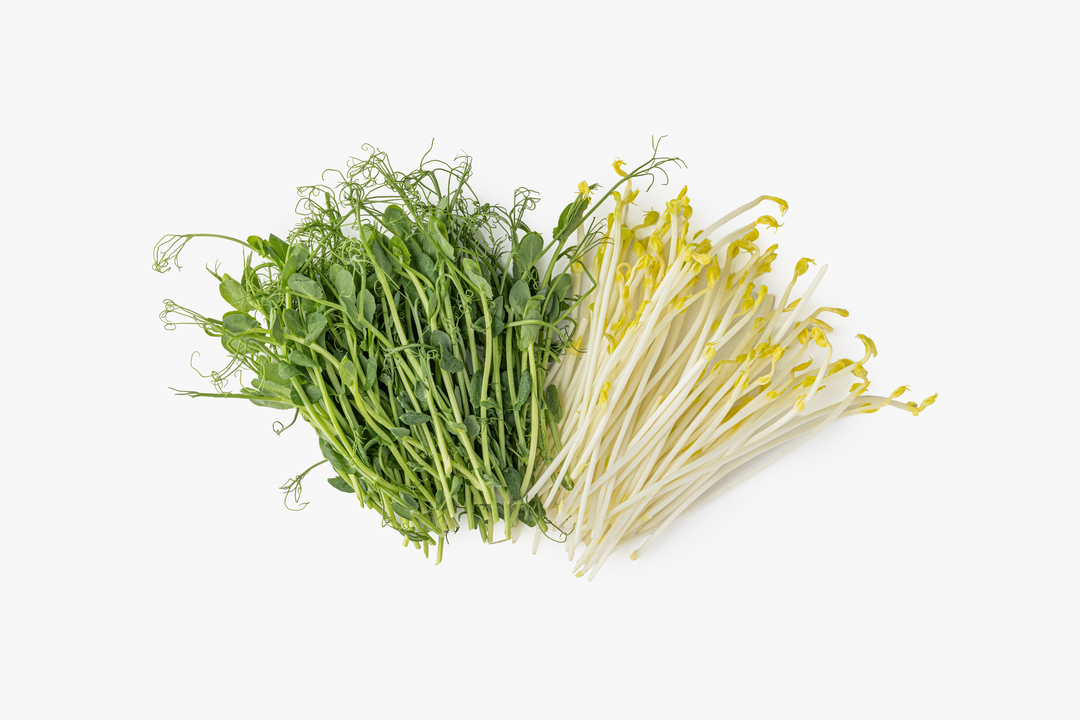 

Микс из микрозелени гороха 50 г