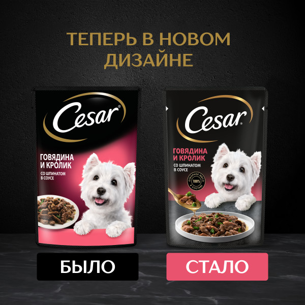 

Влажный корм Cesar для взрослых собак с говядиной кроликом и шпинатом в соусе 85 г