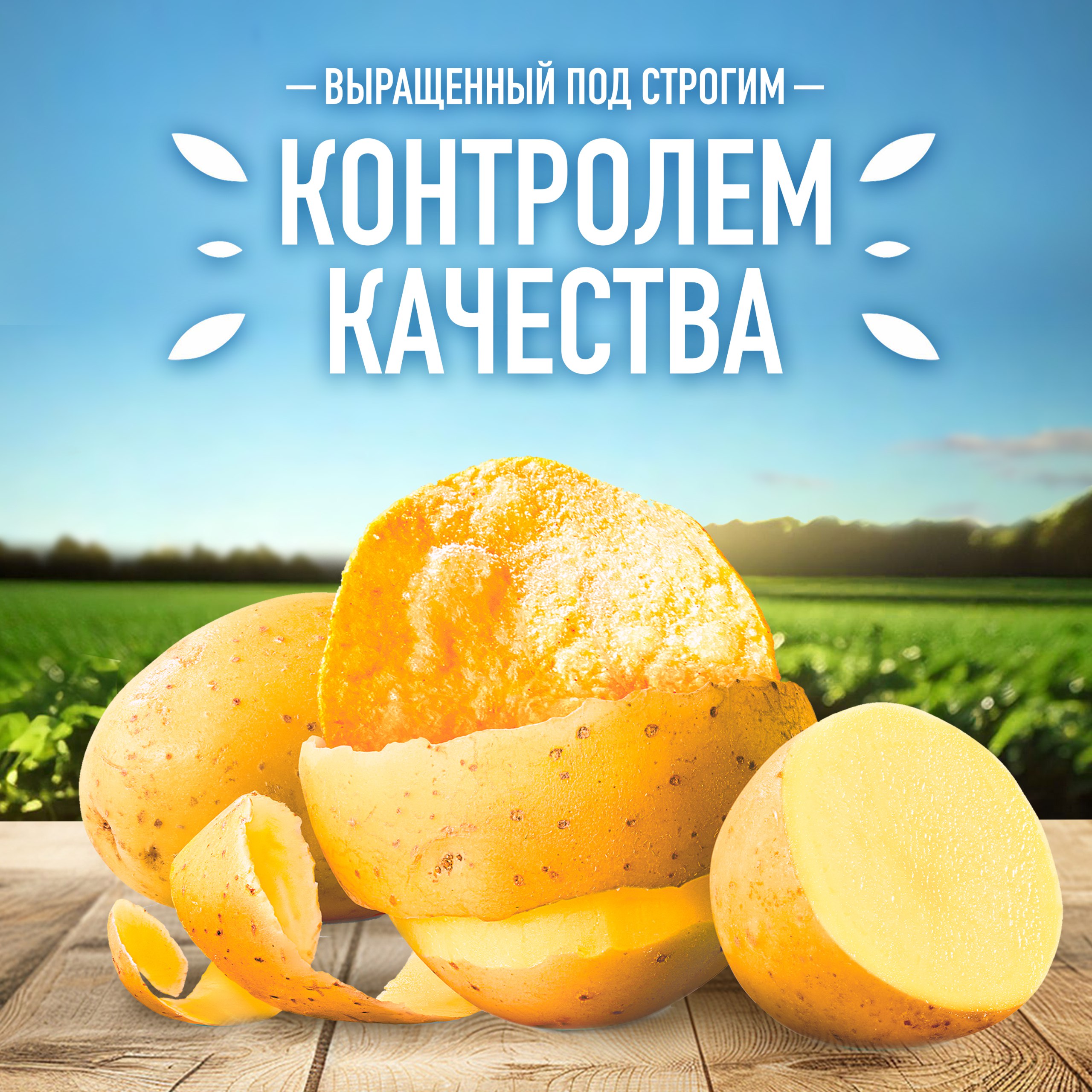 

Картофельные чипсы Lay's Зеленый лук 140 г