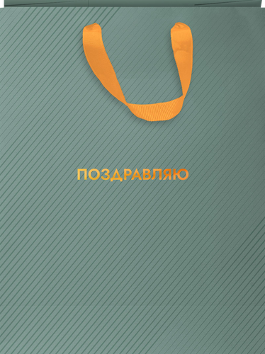 

Пакет подарочный City Home Trade Special Men 31.5 х 25.5 х 11 см 1 шт.