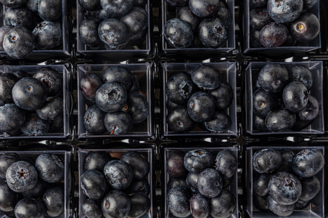 

Фруктовый сет ВкусВилл голубика 12 контейнеров х 50 г