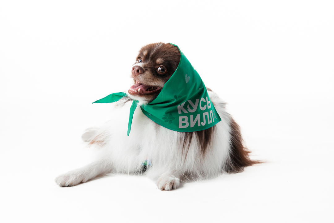 

Бандана ВкусВилл для собак зеленая со светоотражающими элементами