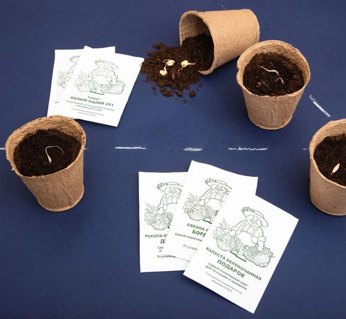 

Торфяные горшочки ГазонCity круглые 110x100 мм