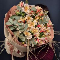 Изображение 2