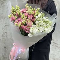 Изображение 5