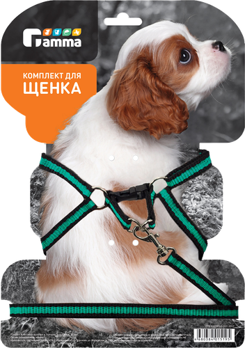 

Комплект для щенка GAMMA Шлейка 28-34x8,5см и поводок 1x130см из капрона