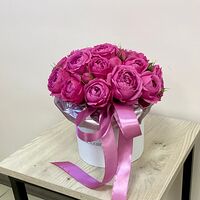 Изображение 2