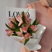 Изображение 2