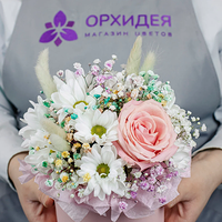 Изображение 3