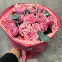 Изображение 4