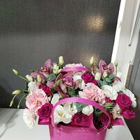 Изображение 3