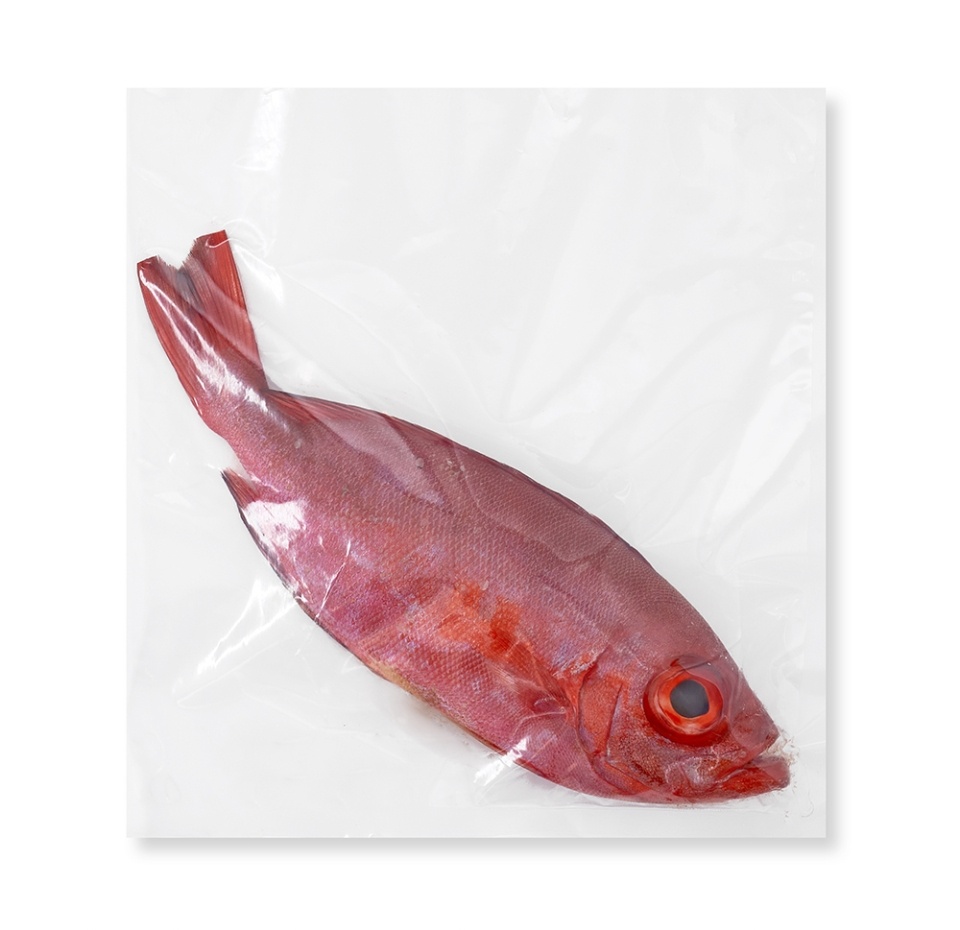 

Снеппер Стеклянный глаз Индийский океан (Шри-Ланка)