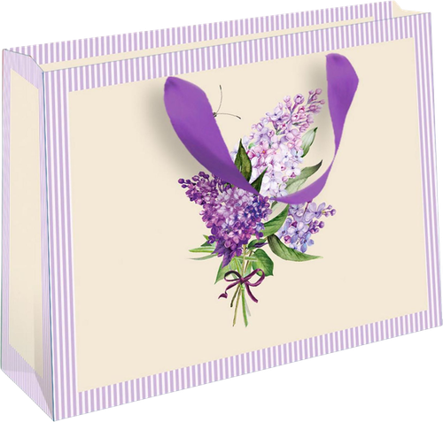 

Пакет подарочный Арт и Дизайн СВ стандарт 23х18см+