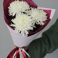 Изображение 3