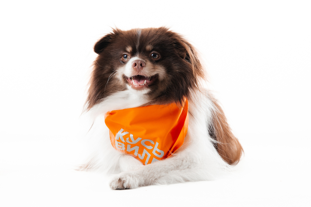 

Бандана для собак оранжевая со светоотражающими элементами