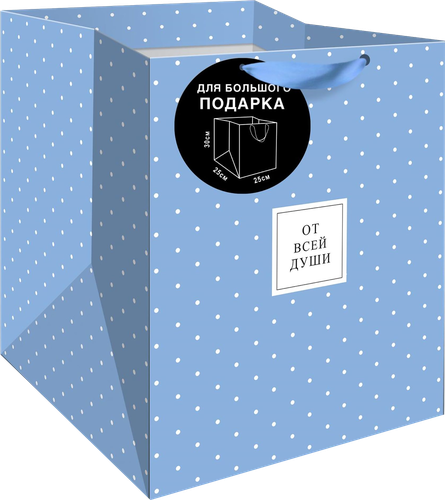 

Пакет подарочный Арт и Дизайн UT Стандарт плюс в ассортименте, 25x30x25 см