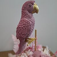 Изображение 7